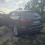 Denis Gacic Profile Picture